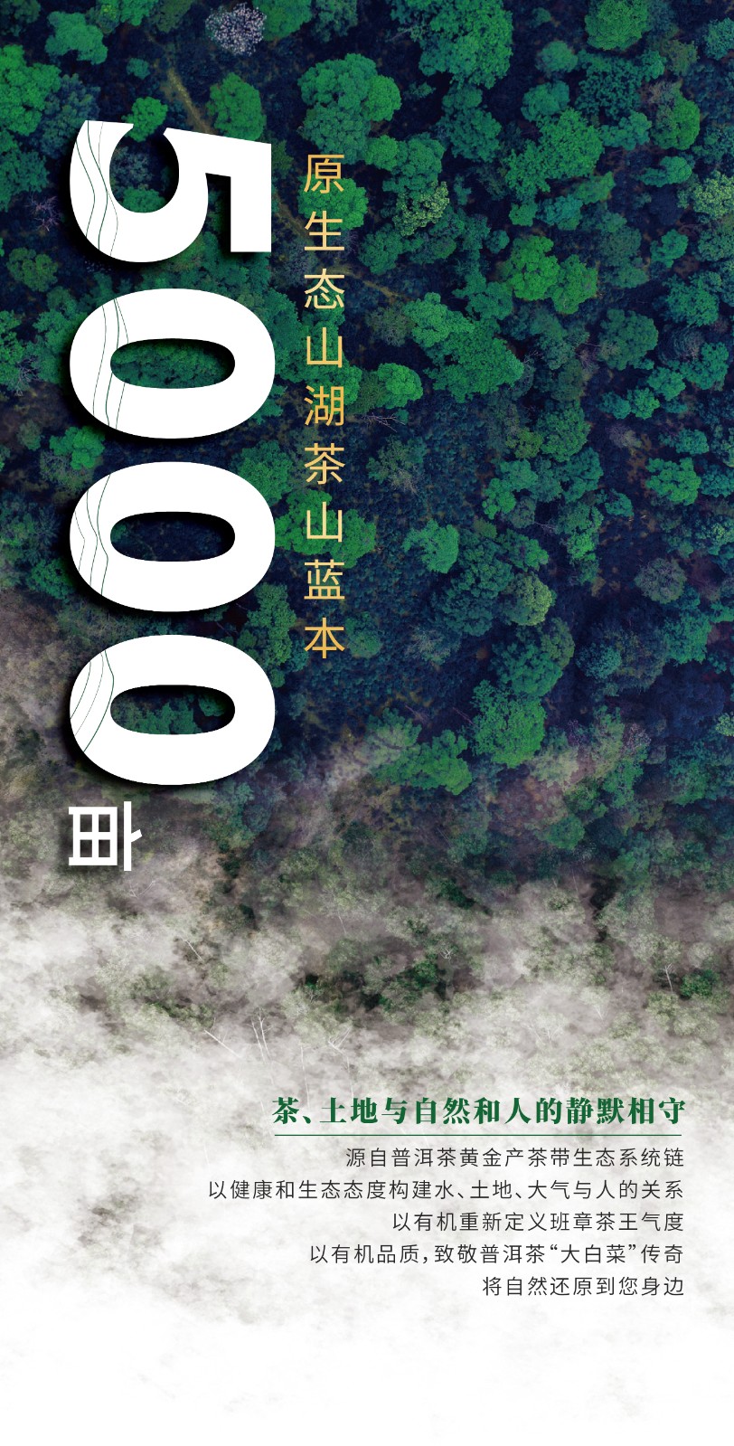 1720578976642395.jpg